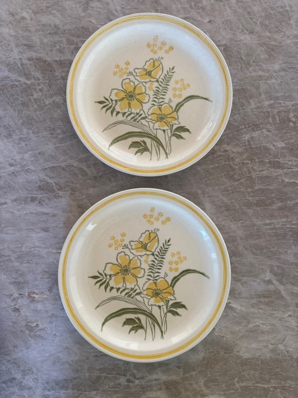 Vintage‎ Yellow Floral Dinner Plates Set 2 Farmhouse Cottagecore